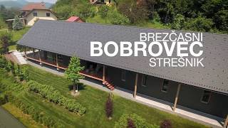 Brezčasni Bobrovec Strešnik - Kla Ki Nikoli Ne Gre Iz Mode