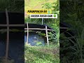 Penampungan Air dikebun Durian Kami 💧🌳