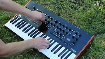 FMonsta - Custom Oscillator for the Korg Prologue by DirtBoxSynth