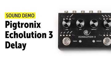 Pigtronix Echolution 3 - Sound Demo (no talking)