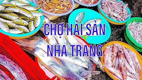 Du lịch Nha Trang P1 / Đi chợ hải sản / Trực Vlogs