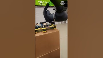 POV: collaborative palletizing robot — another TORFRESMA launch!