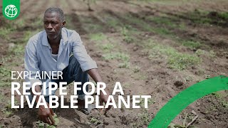 Recipe for a Livable Planet: Cost-Effective Mitigation Opportunities in the Global Food System Recipe for a Livable Planet: Cost-Effective Mitigation Opportunities in the Global Food System