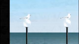 see you,see me / CURIO