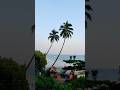 Must visit place | Goa 🌴 #shorts #goa #travel