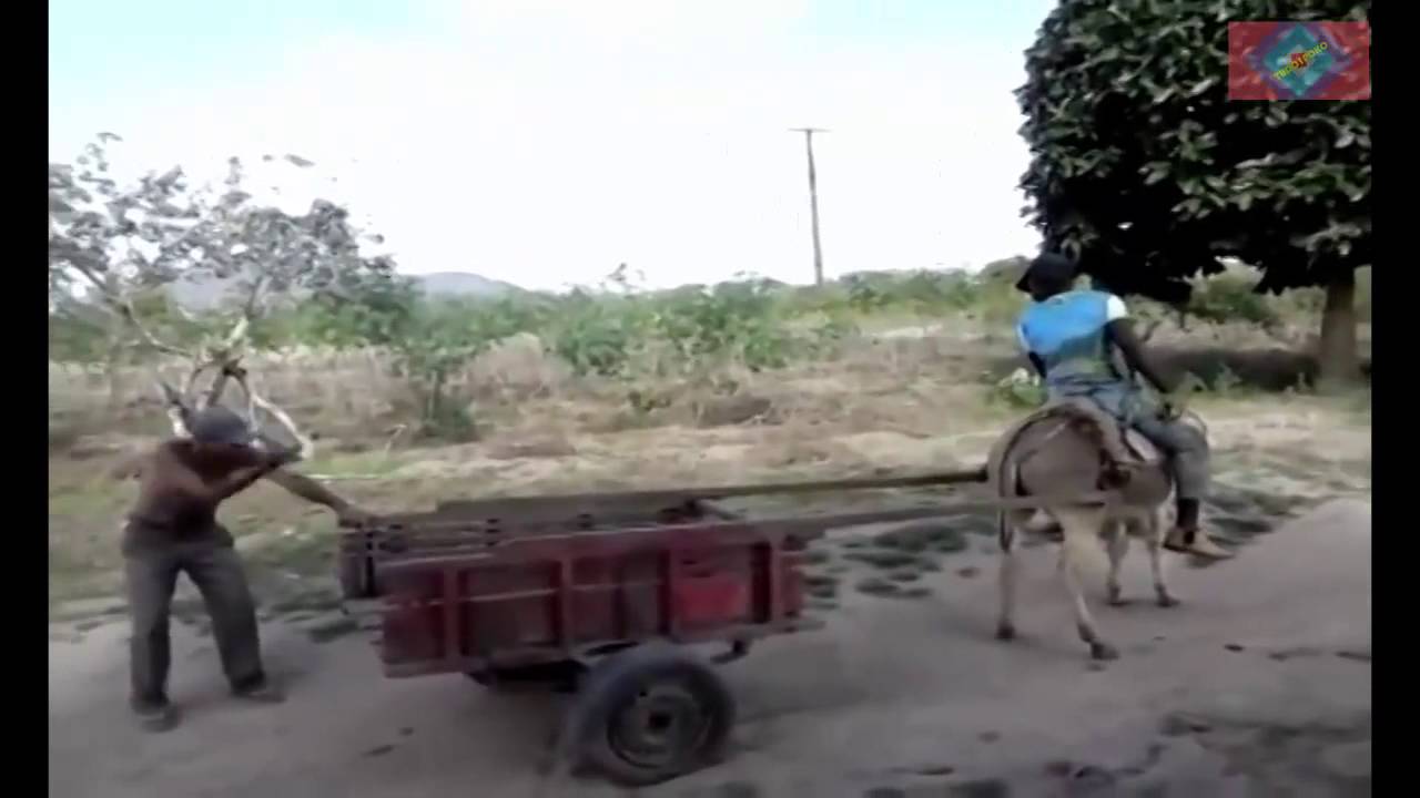 jegue-n-o-da-r-kkkk-youtube
