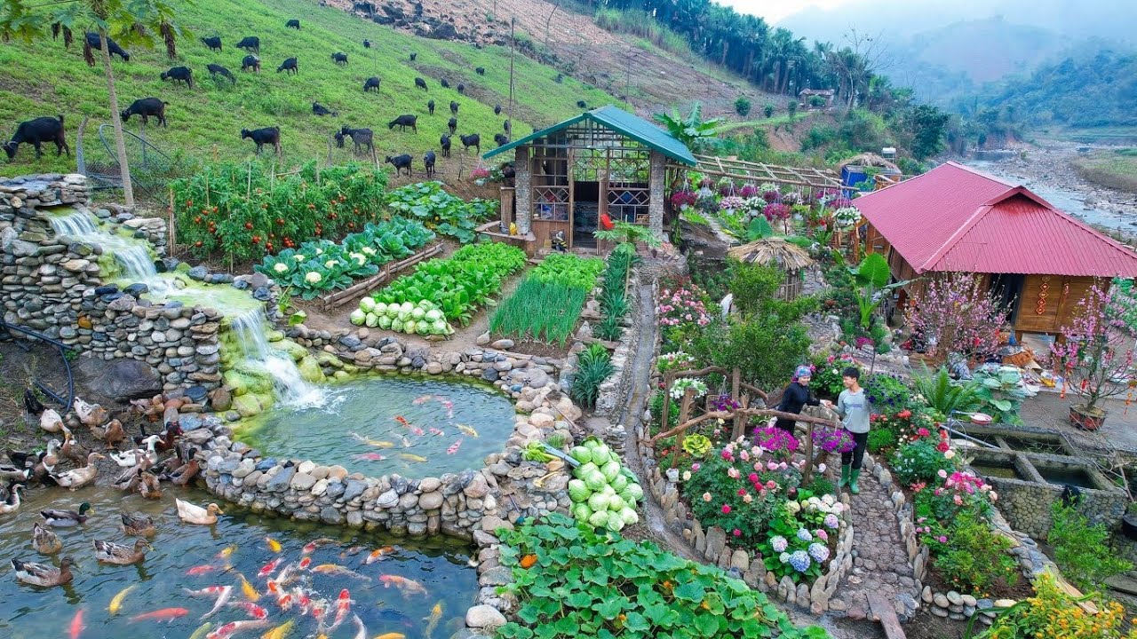 От голой земли до рая в РЕКОРДНО короткие сроки 😳Автономная ферма, розы, косточки и скот.