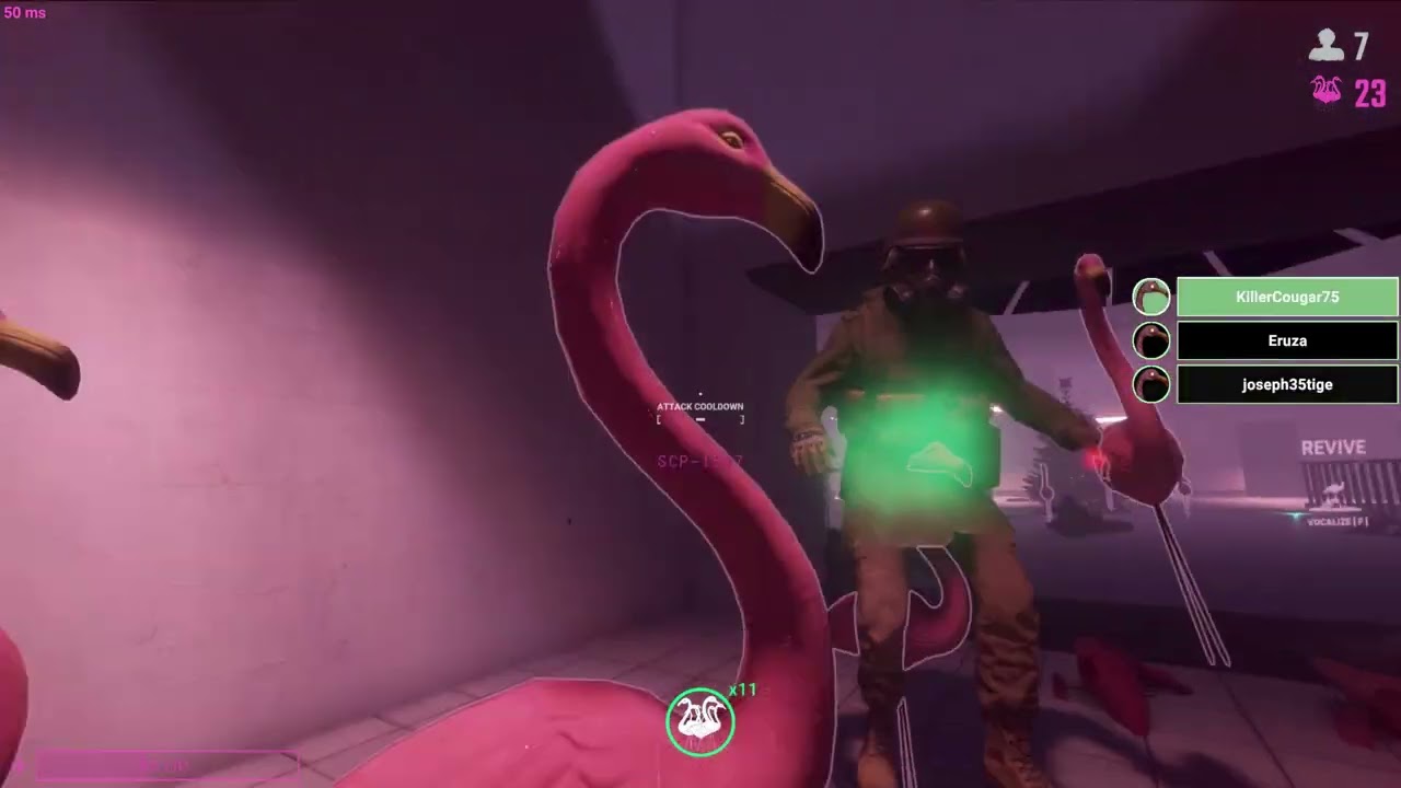 Failed Flamingo victory