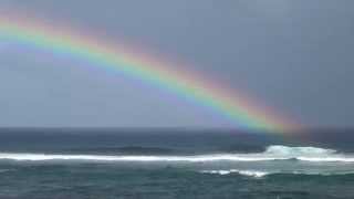 Da Maui Daily Surf Report