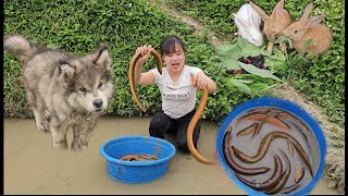 Harvesting eels to sell, tending vegetable gardens with squash, green beans and corn