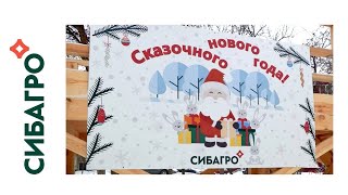 Кудряшовский свинокомплекс «Сибагро» установил горку для катания в селе Криводановка