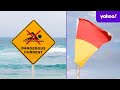 Glaring issue with Australia’s red and yellow beach flags revealed | Yahoo News Australia