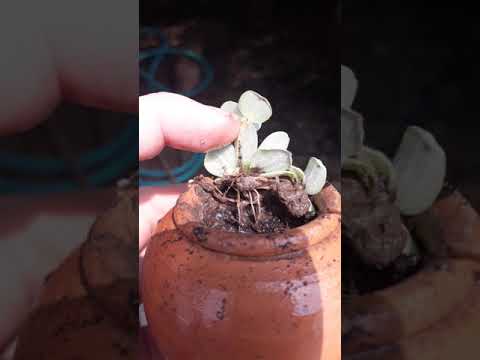 week 12 เกิดอะไรขึ้น ดินเหมือนถูกควัก week 12 เกิดอะไรขึ้น ดินเหมือนถูกควัก