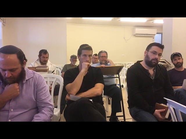 Shlach - When It Comes To Eretz Yisrael, Got To Try Harder - R' Shlomo Katz