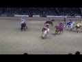 Escaramuza & Tomas Garcilazo - Night of the Horse 2014