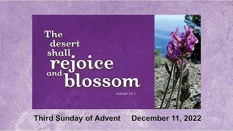 Third Sunday of Advent - December 11th, 2022