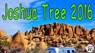 Our Visit to Joshua Tree National Park 2016