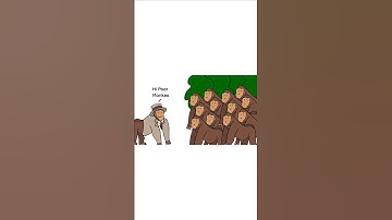 How Ponzi Schemes Start Explained With Monkeys