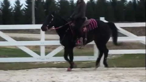Sara Risseeuw and Ajax video