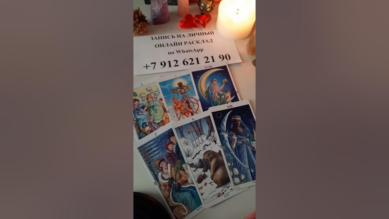 Таро скучает. Таро скучает