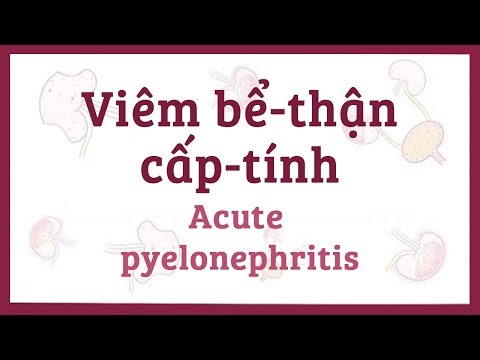 Video: Nhiễm Khuẩn (viêm Bể Thận) Thận ở Mèo