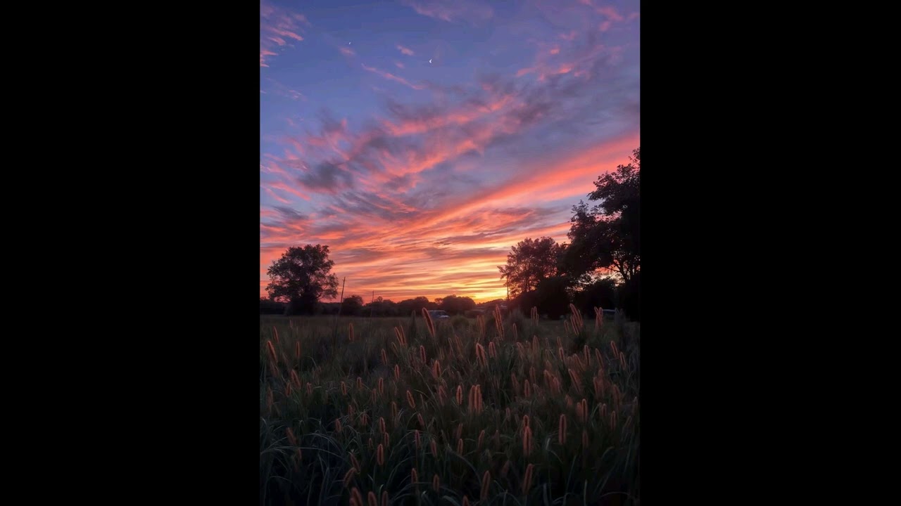 (free) indie pop type beat - "morning sun"