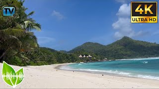 🏝️🌊 Serenity by the Sea: Pristine Beaches of the Seychelles | Gentle Ocean Waves \& Turquoise Waters