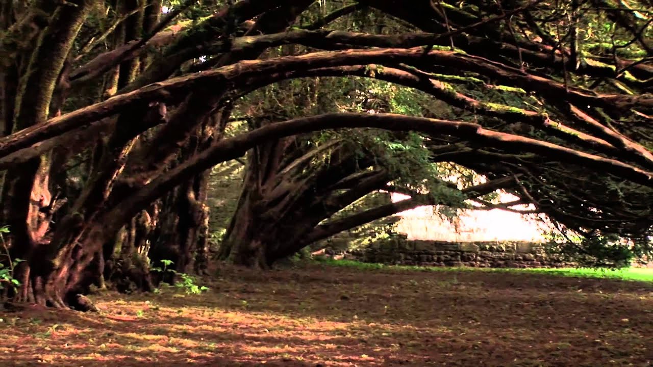 CELTIC IRISH TOURS - YouTube