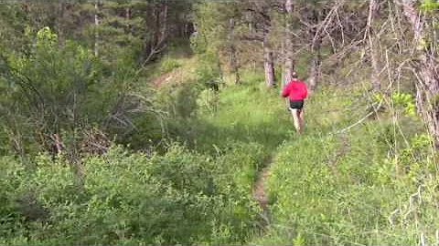 Dino Trail Run by Randy Ericksen