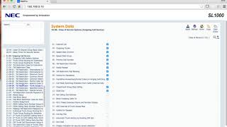 PBX  NEC SL1000(SL2100) SETUP HOTLINE