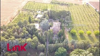 ASSISI soft screenshot 5