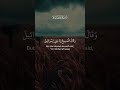 Quran recitation #shorts #قرآن #قران_كريم #quran
