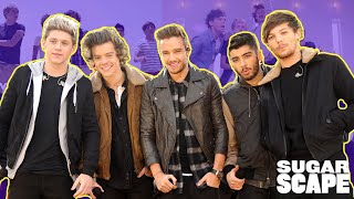 One Direction&#39;s Top 5 BIGGEST Songs