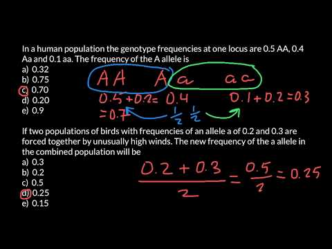 How to Find Allele Frequency