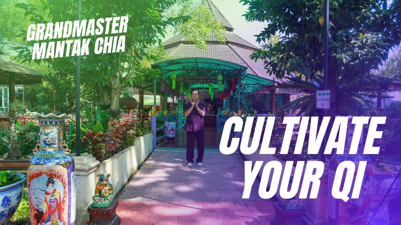 Qigong for you life force cultivation qi as bio electromagnetism