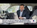 Aumento alarmante de jóvenes armados en Florida desata debate legislativo
