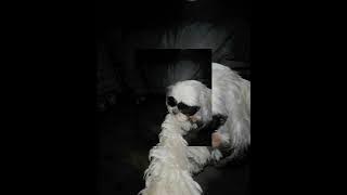 justin bieber - sorry ( sped up)