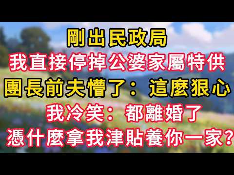 剛出民政局，我直接停掉公婆家屬特供，團長前夫懵了：這麼狠心，我冷笑：都離婚了，憑什麼拿我津貼養你一家？！#情感故事 #故事 #為人處世 #睡前故事 #一口气看完