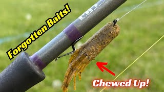 Is This The MOST Forgotten Bait? It Will Out Fish So Many Other Lures!
