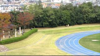 20111103_中学・東播駅伝_女子_3区(2)
