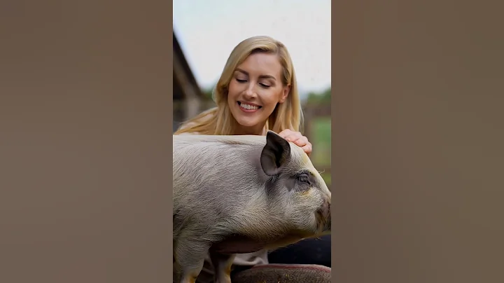 Watch wild boar cuddling #wildlife #fearlesswildlife #animals