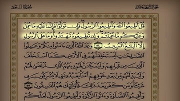 د. عاصم اللحيدان اليوم التاسع والستون سورة النور  من الآية ٣٢ حتى الآية ٦٤