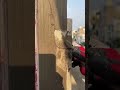 Don't let any walls get damaged #shorts