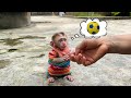 Baby monkey tina asks her mother for help and finds her ball