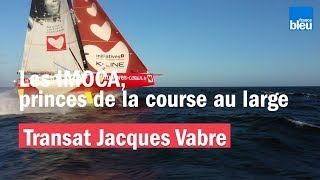 Transat Jacques Vabre : les IMOCA, princes de la course au large