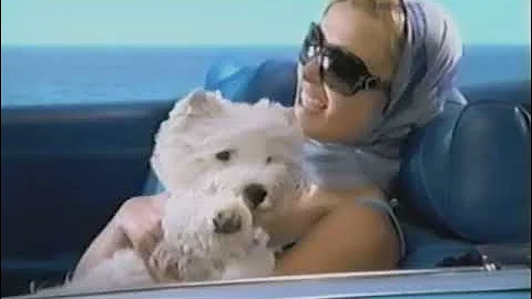 Cesar Dogfood Copilot Ad 20008