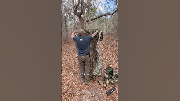 Setting up camp with the DD Hammocks Tarp