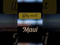 WHY VISIT MAUI ~ Sun and Pineapple #shorts #vacation