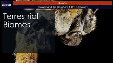 Terrestrial Biomes | Ecology and the Biosphere | Unit 8. Ecology