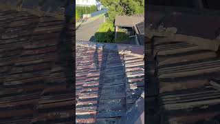 Full repoint high pressure clean and paint Sydney suburbs
